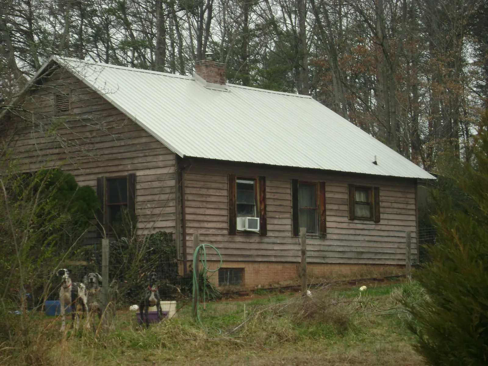 White metal roof on an old wood sided farmhouse, from a Asphalt Shingle Roof Repair job in Springwater